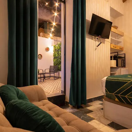 Zahra - Con Terraza Centro