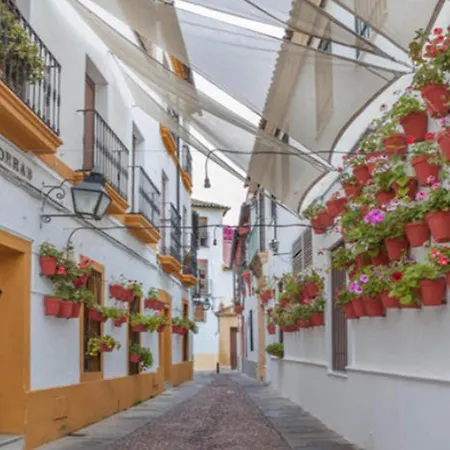 Apartamento Zahra - Habitación Con Terraza Centro Córdova