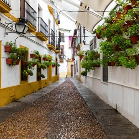 Zahra - Habitación Con Terraza Centro