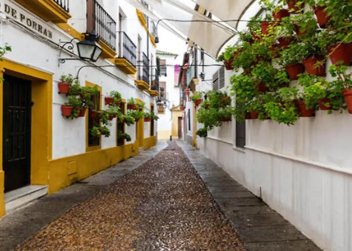 Zahra - Habitación Con Terraza Centro